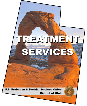 Treatment Services